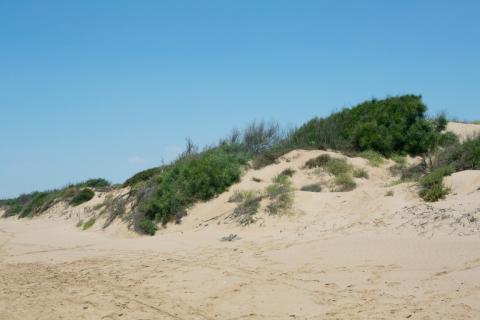 Villa le Dune 19
